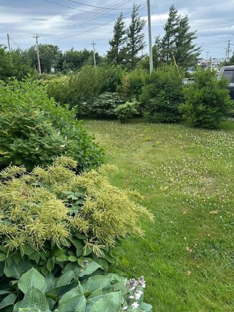 Lancaster Inn B&B 보나비스타 외부 사진
